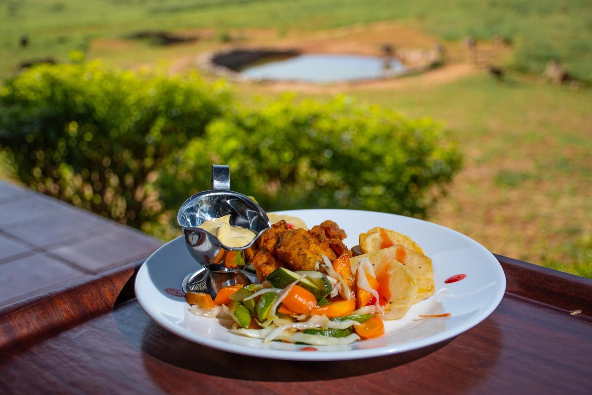 Ngulia Safari Lodge Ithumba Exteriér fotografie