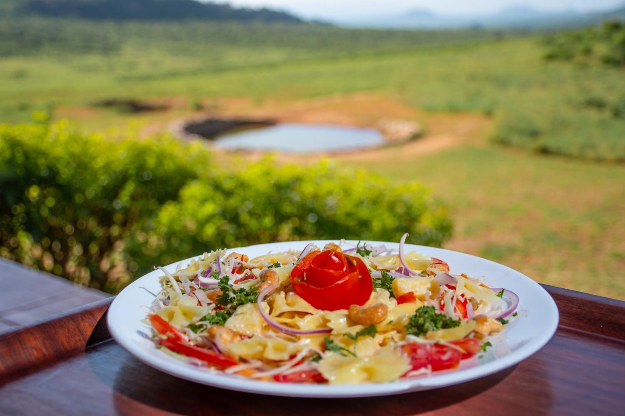 Ngulia Safari Lodge Ithumba Exteriér fotografie